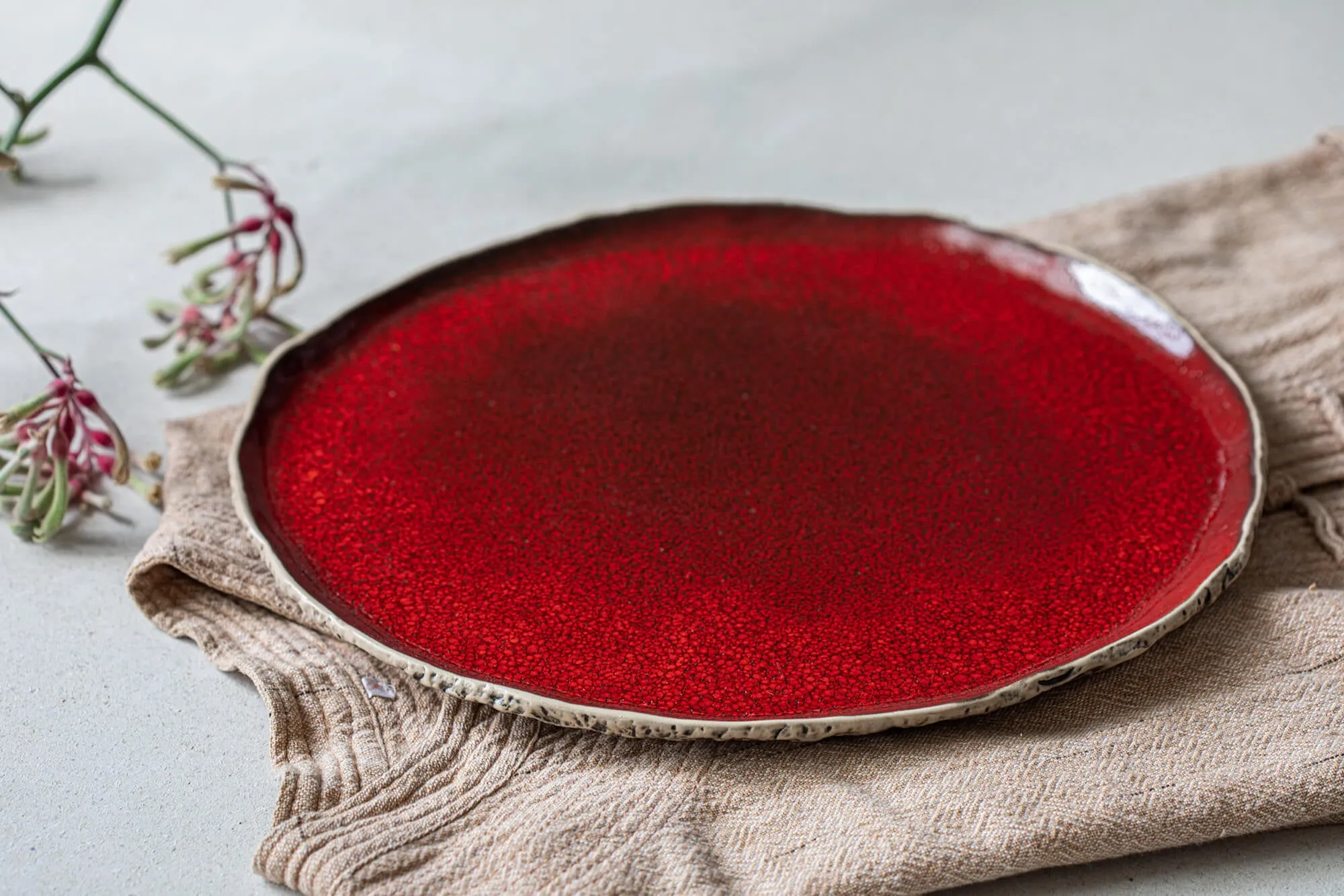 Dinner plates 27cm/10.6"