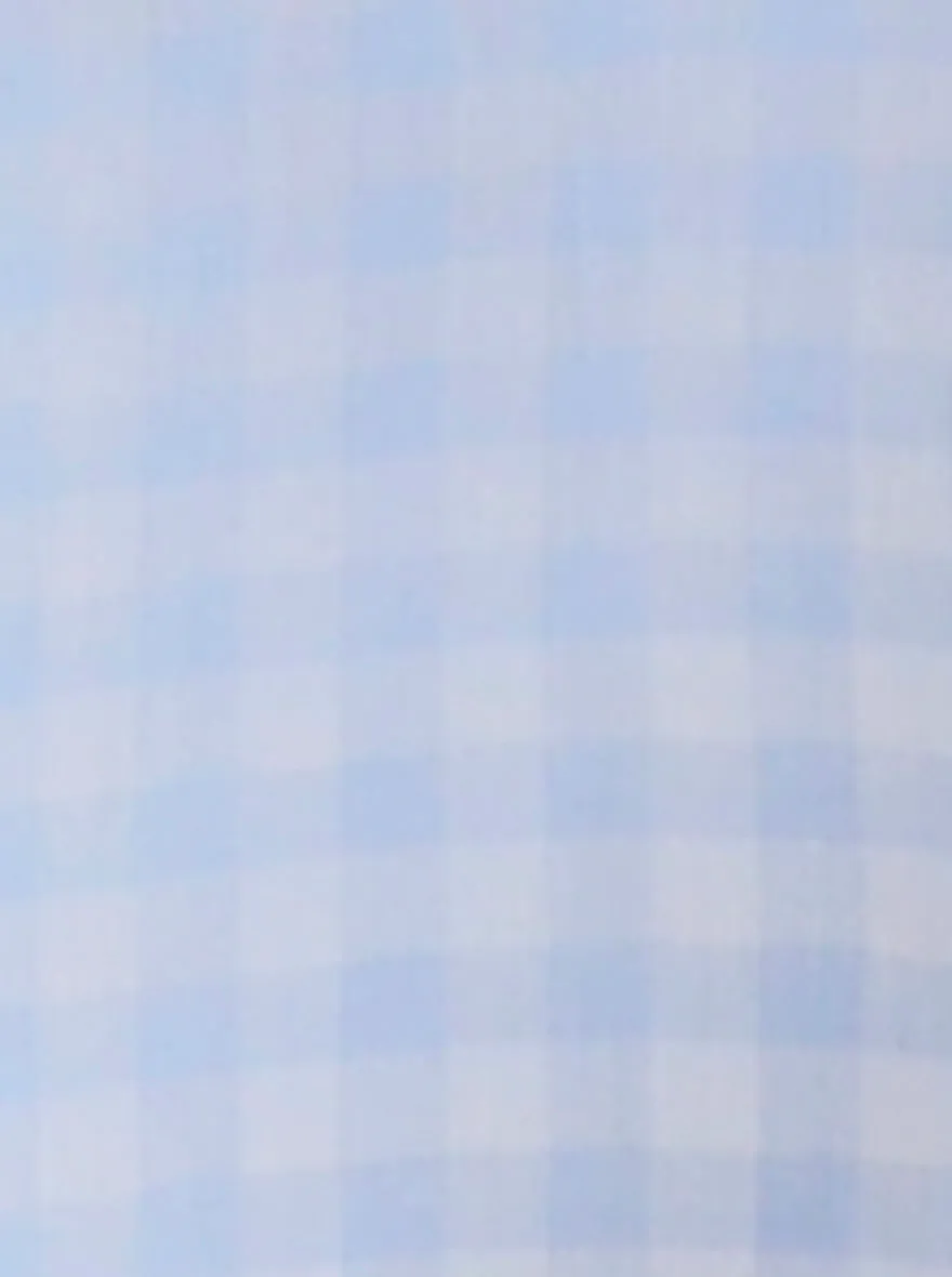 Sky Blue Checked Regular Fit Formal Shirt | JadeBlue